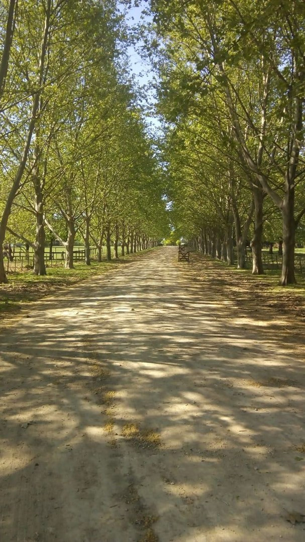 Three-bedroom country house in gated estate near Manzanares