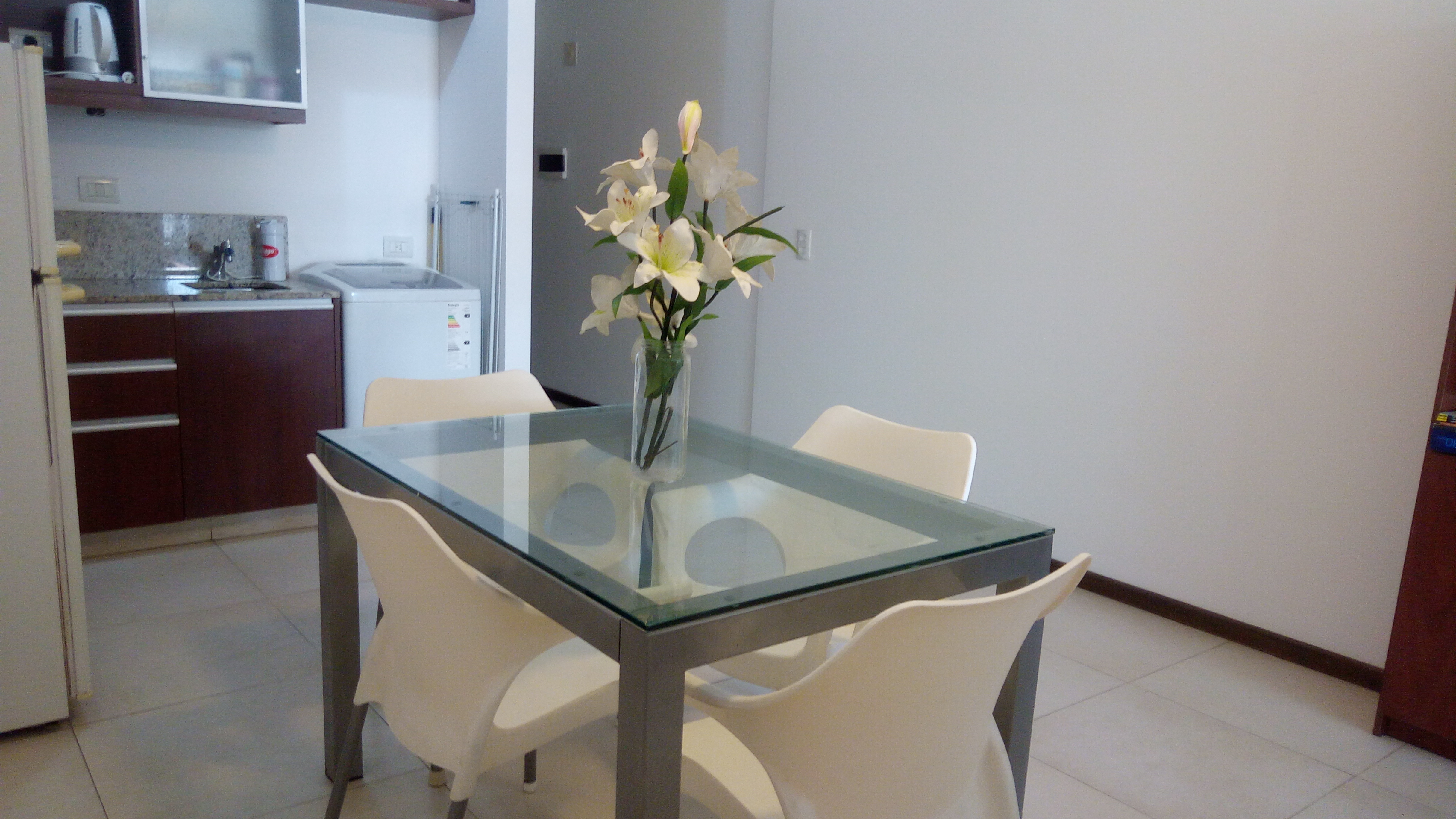 Однокомнатная квартира с мебелью в Recoleta