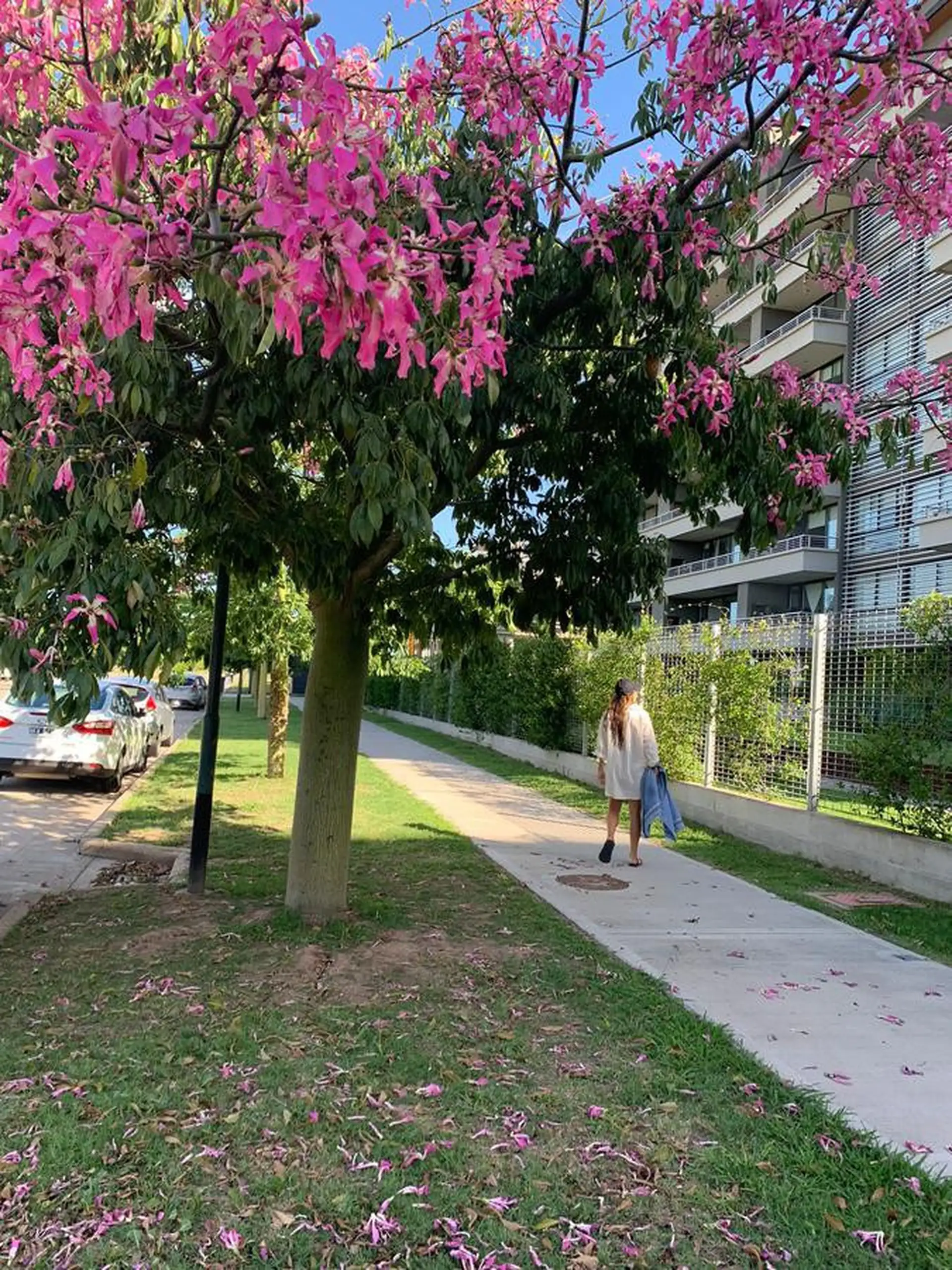 Three-room apartment for rent in Victoria