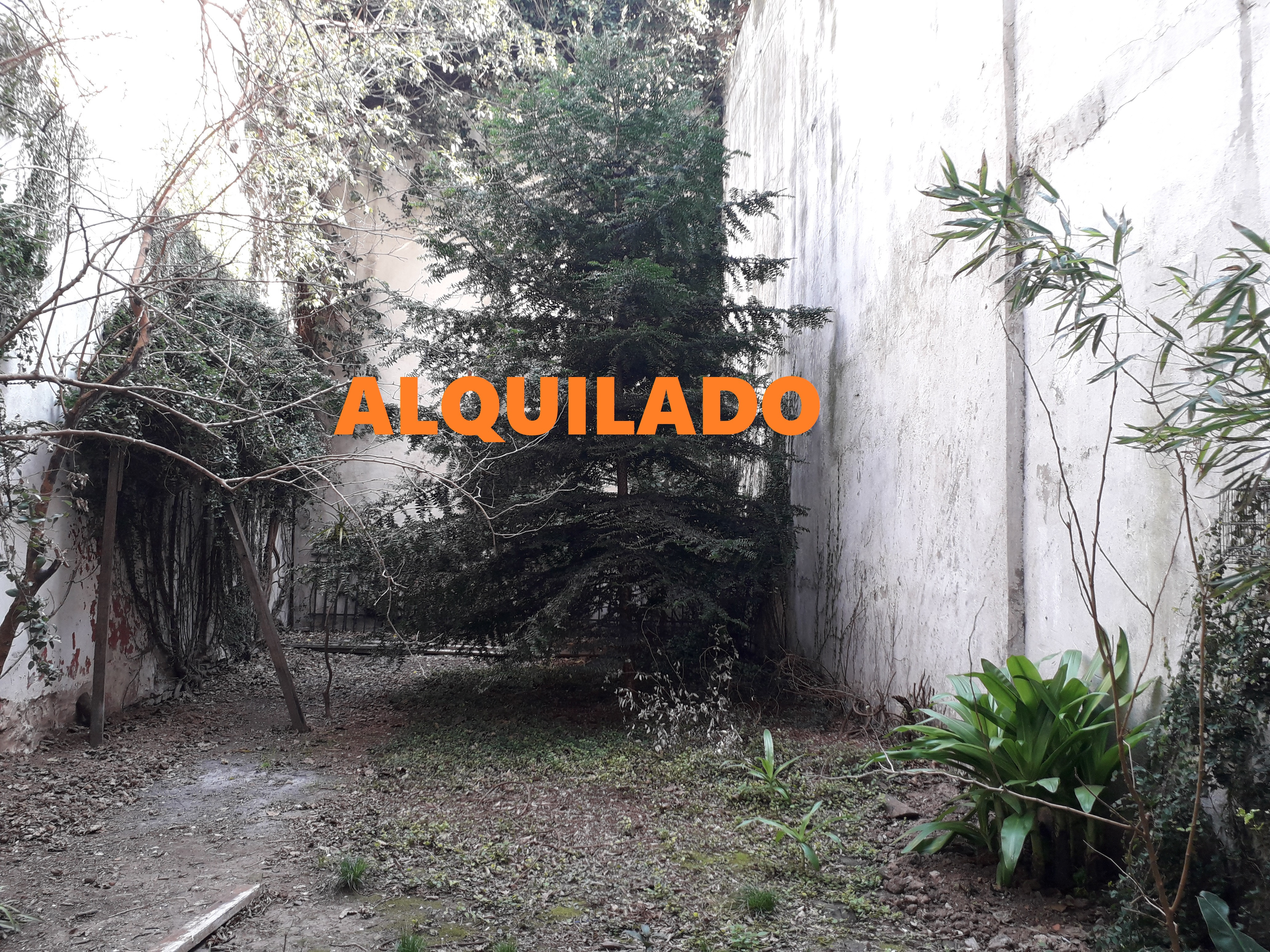 Monoambiente divisible apto profesional con jardín de uso exclusivo en Villa Urquiza