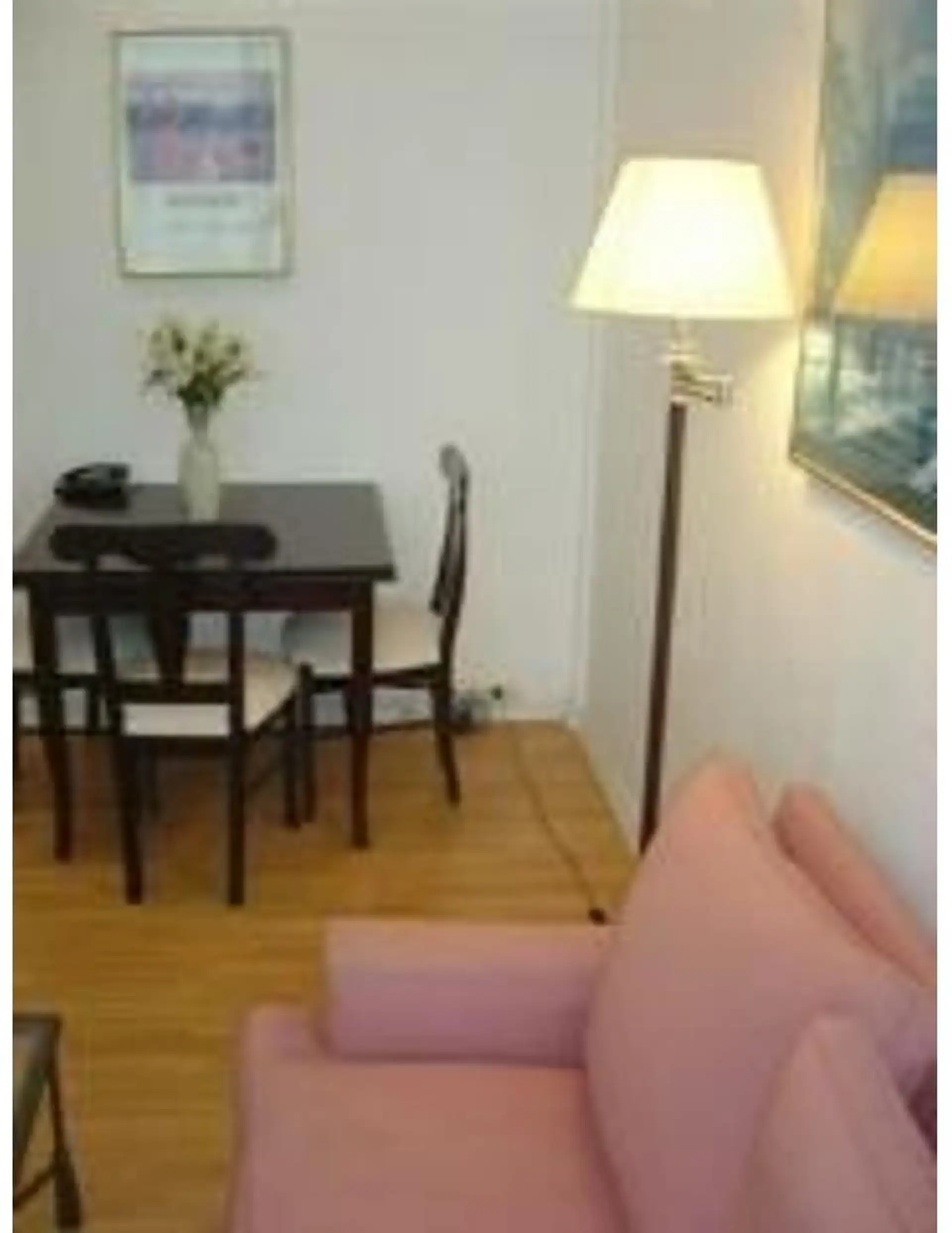 Furnished two-bedroom apartment in Recoleta