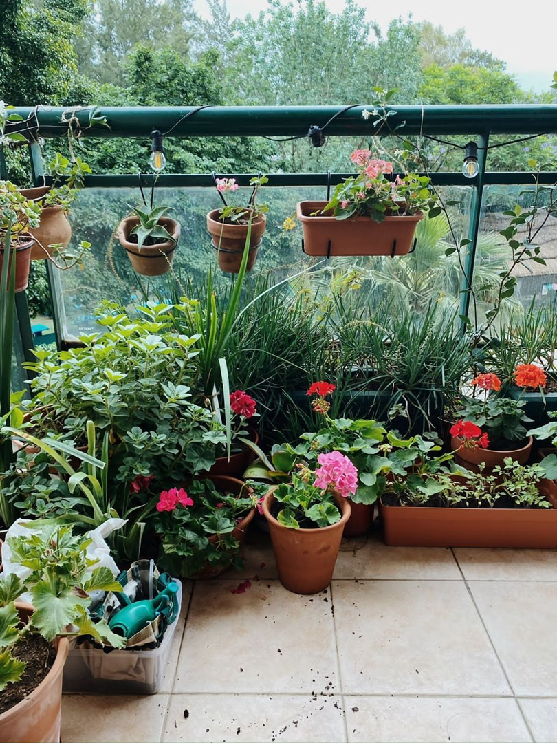 Two-bedroom apartment with balcony in Tigre