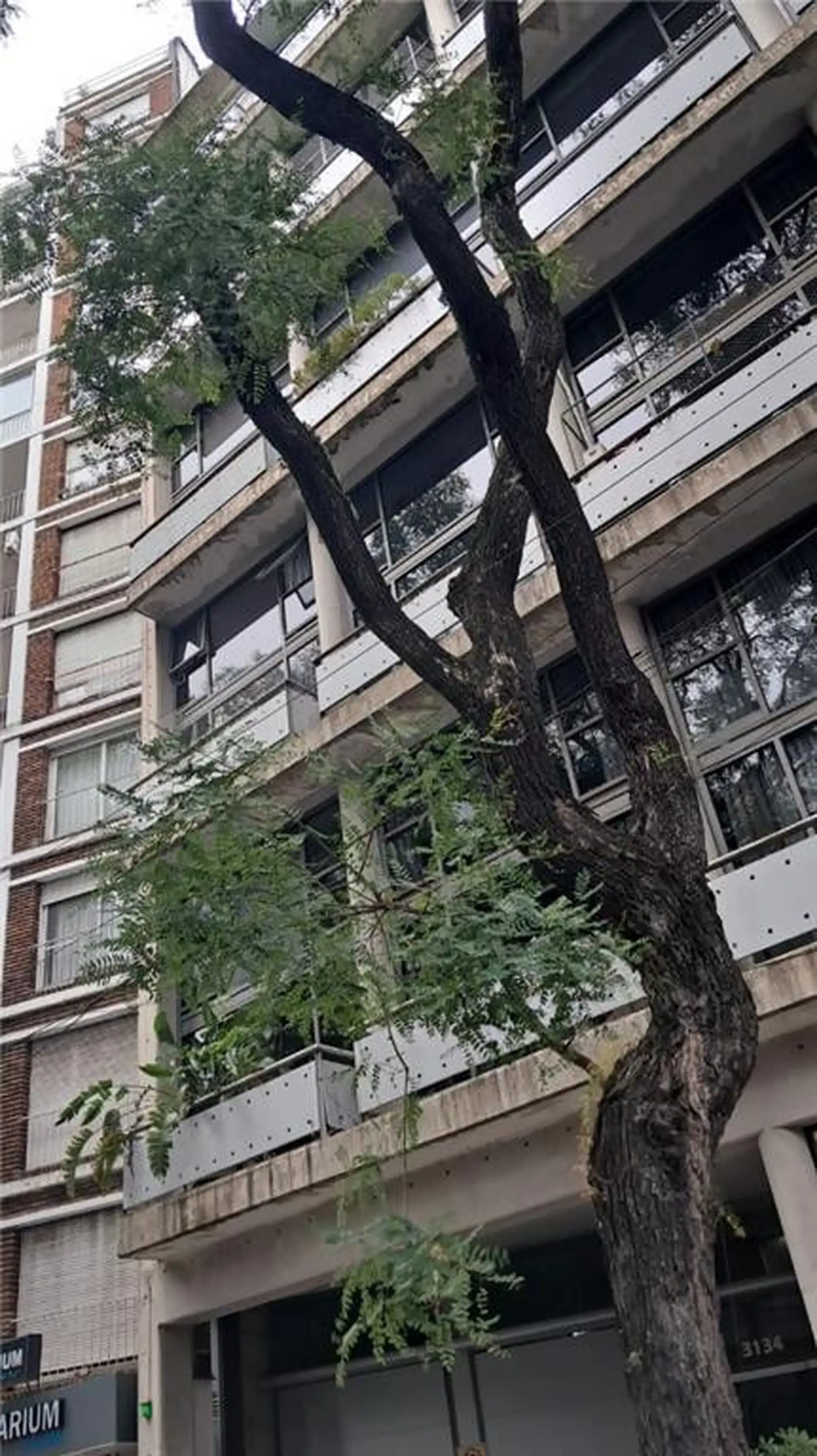 Duplex de 1 dormitório para alugar em Palermo Chico