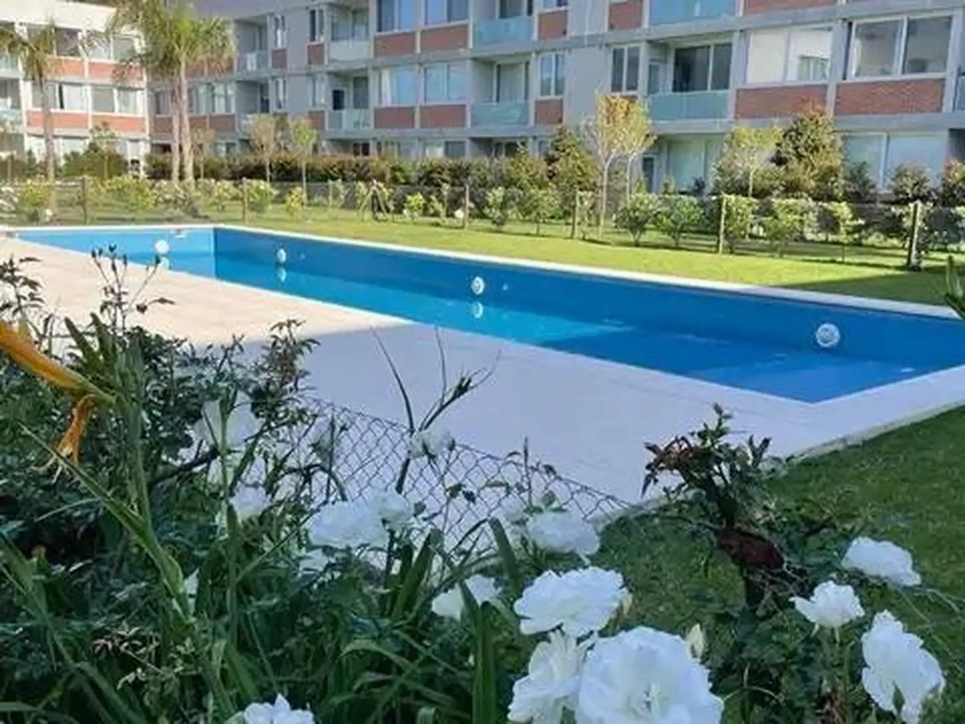 Furnished two-room apartment in Tigre Centro