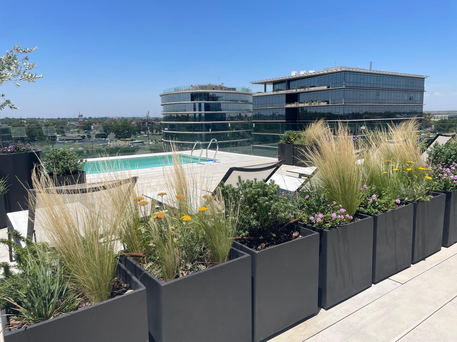 New studio apartment with parking in Victoria