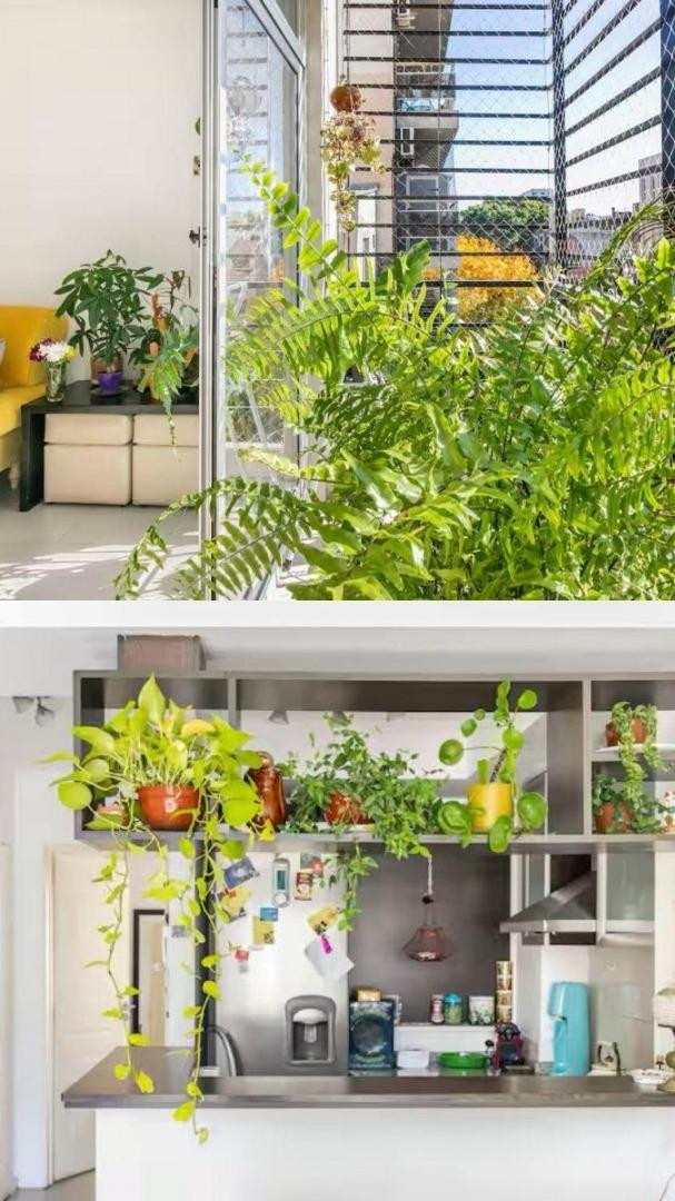 Two-room apartment with balcony in Villa Crespo