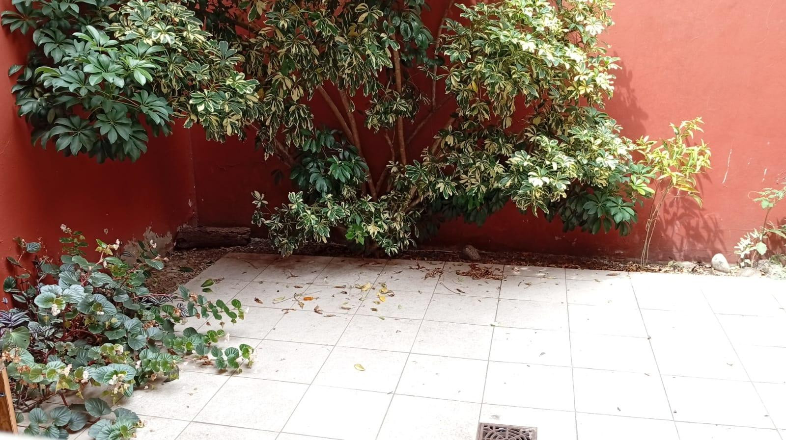 Квартира-студия? Нет — PH с 1 спальней, патио и местом под авто в Villa Devoto