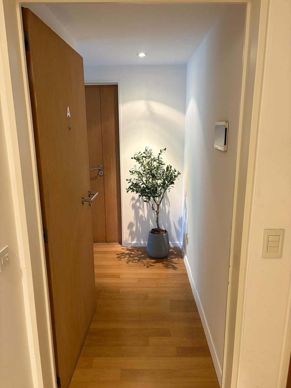 Departamento monoambiente en alquiler en Villa Ortúzar