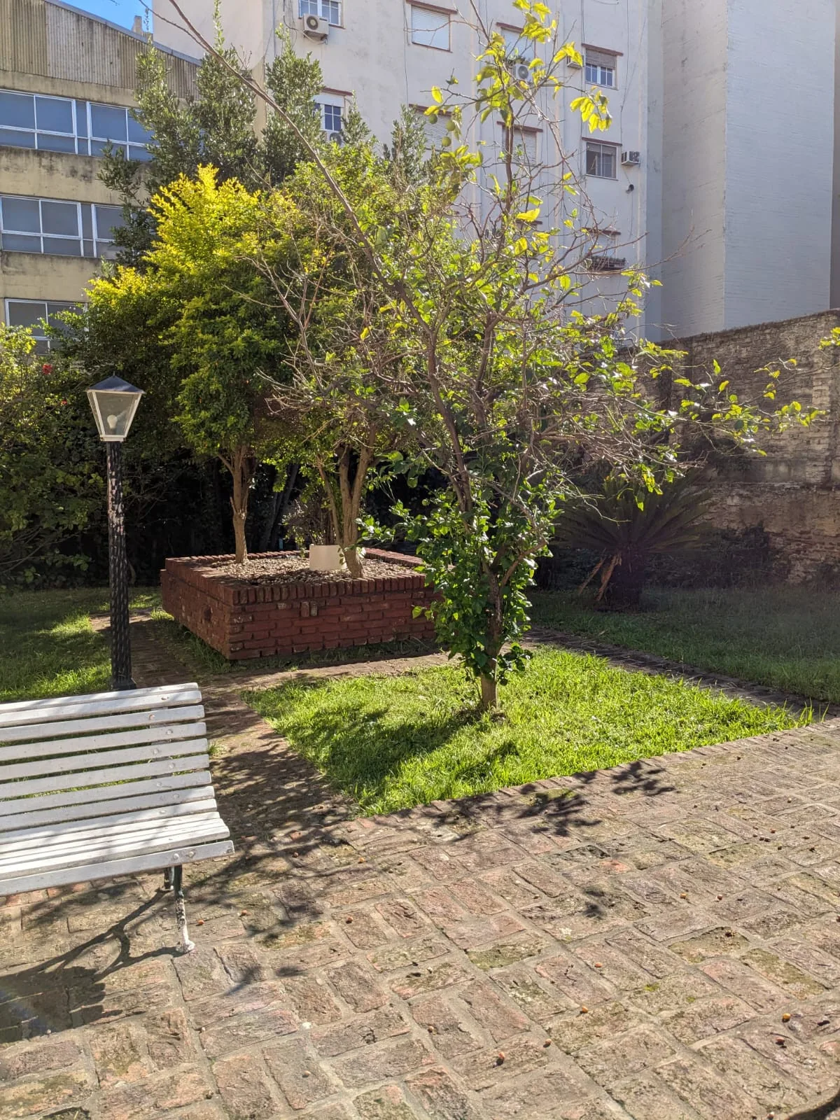 Departamento de 3 ambientes con balcón corrido en Flores