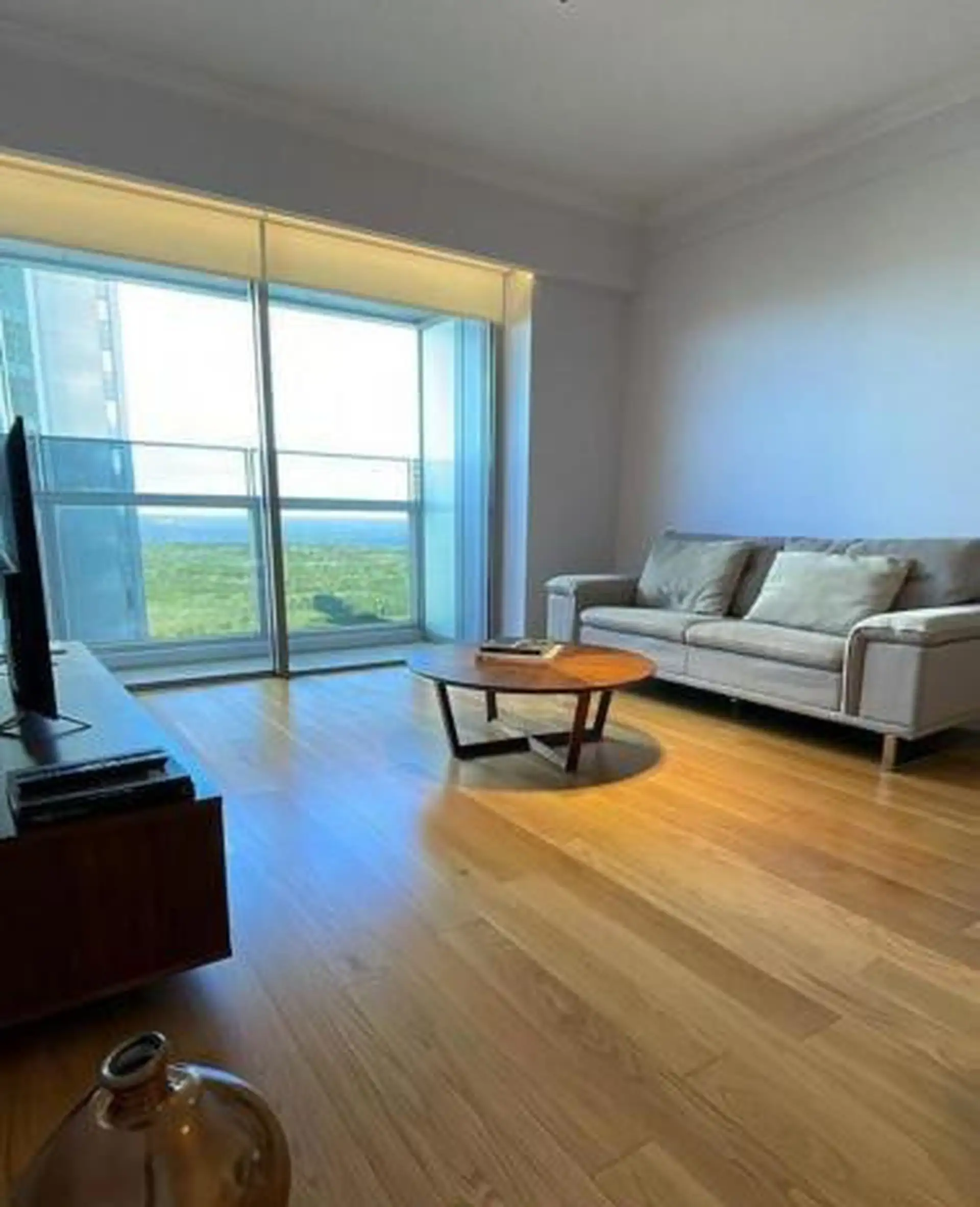 Меблированная квартира с 1 спальней в Puerto Madero