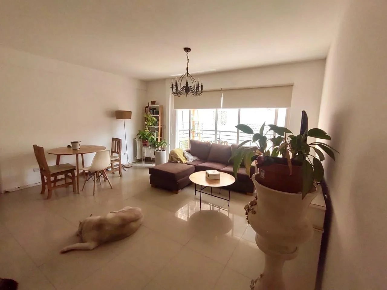 Apartamento de 3 ambientes com 2 dormitórios em Coghlan