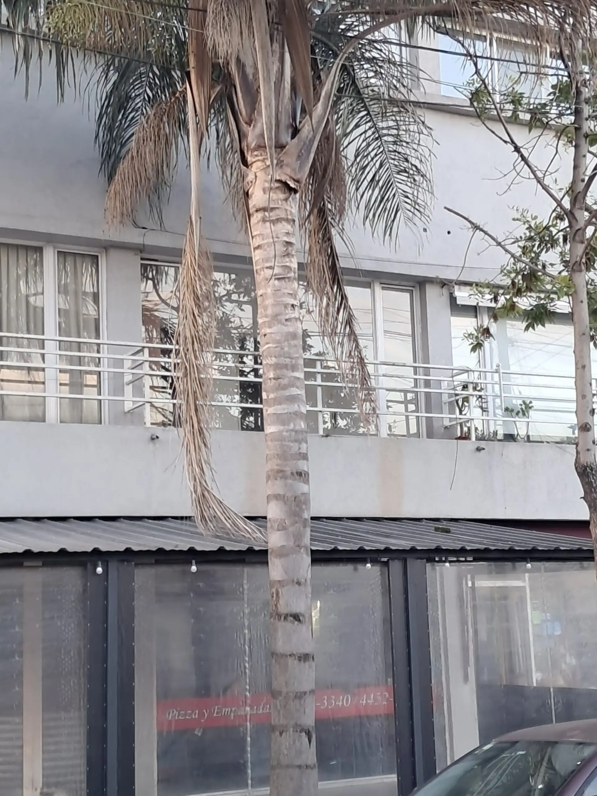 Departamento de 1 dormitorio en Hurlingham