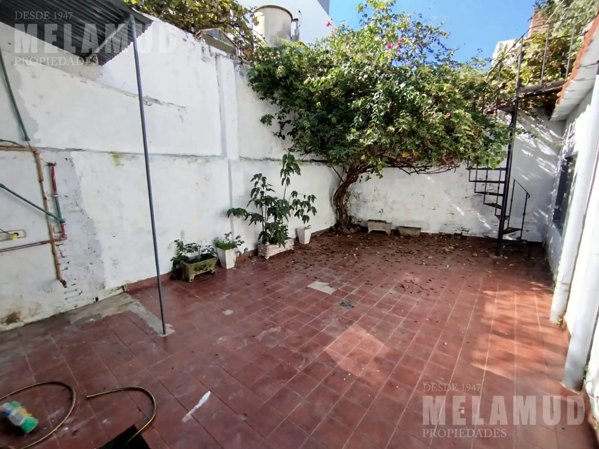 PH de 3 ambientes con patio y terraza propia en Parque Chas