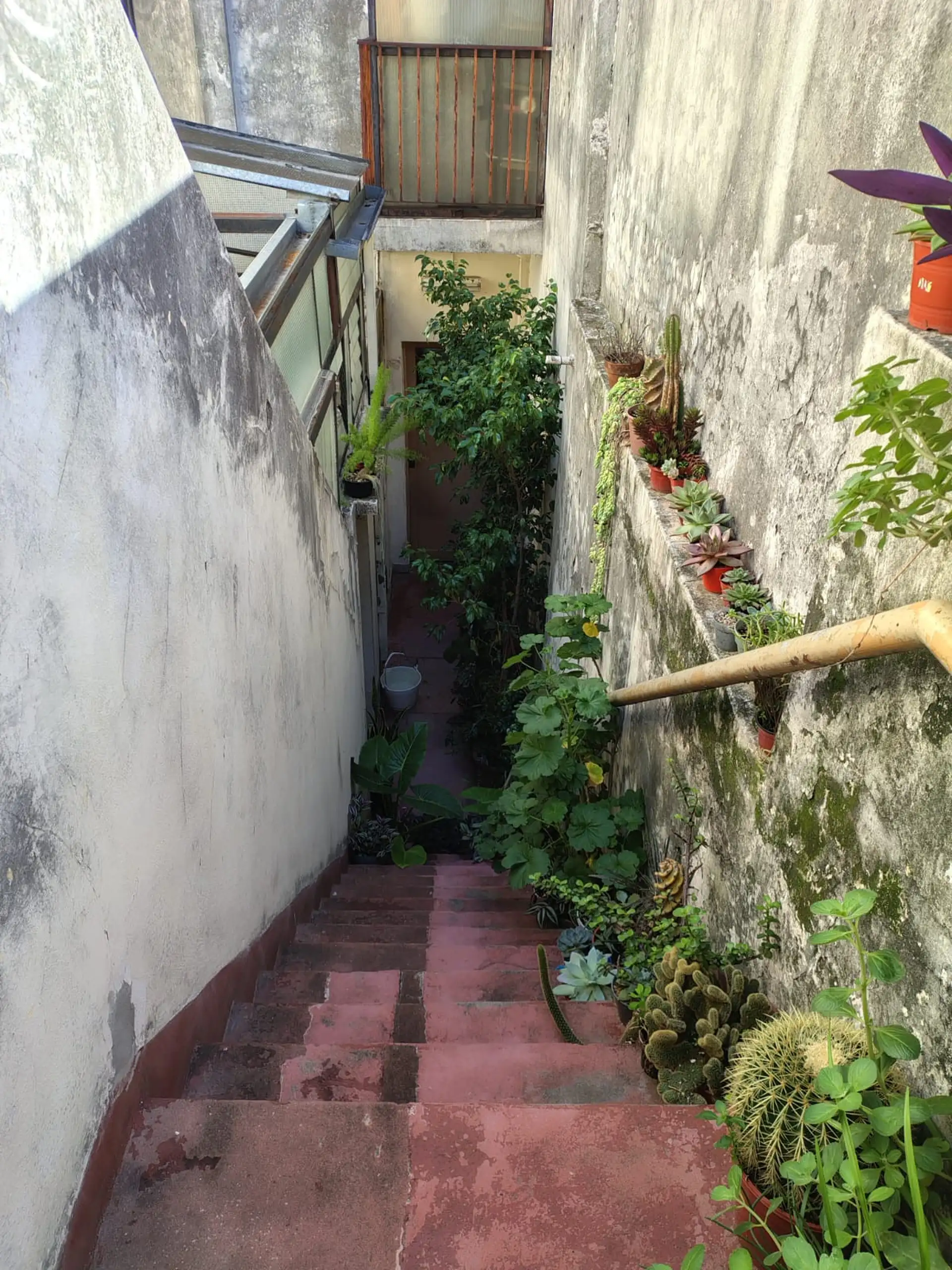 Departamento monoambiente en alquiler en Floresta