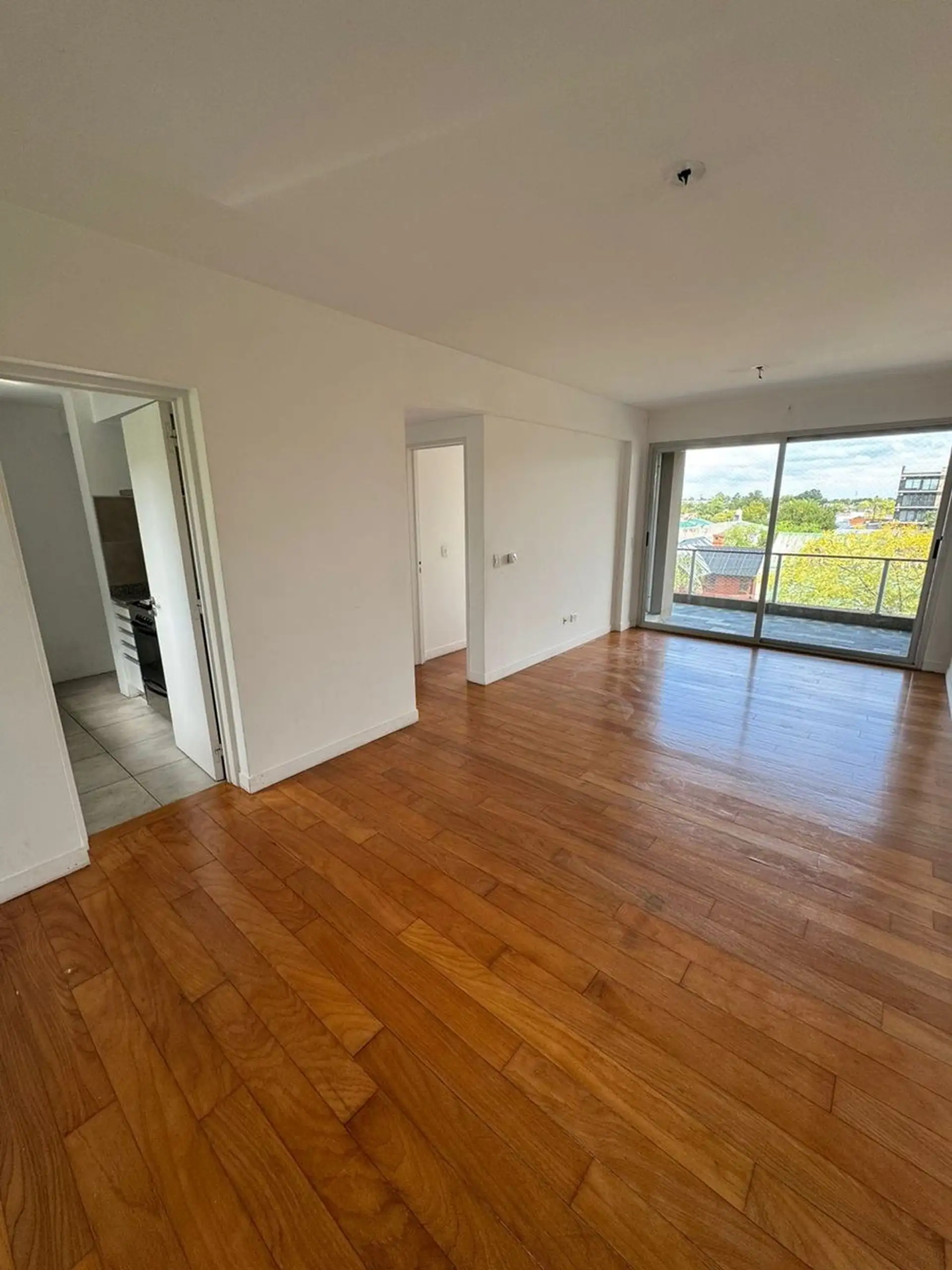 Two-room apartment in Tigre
