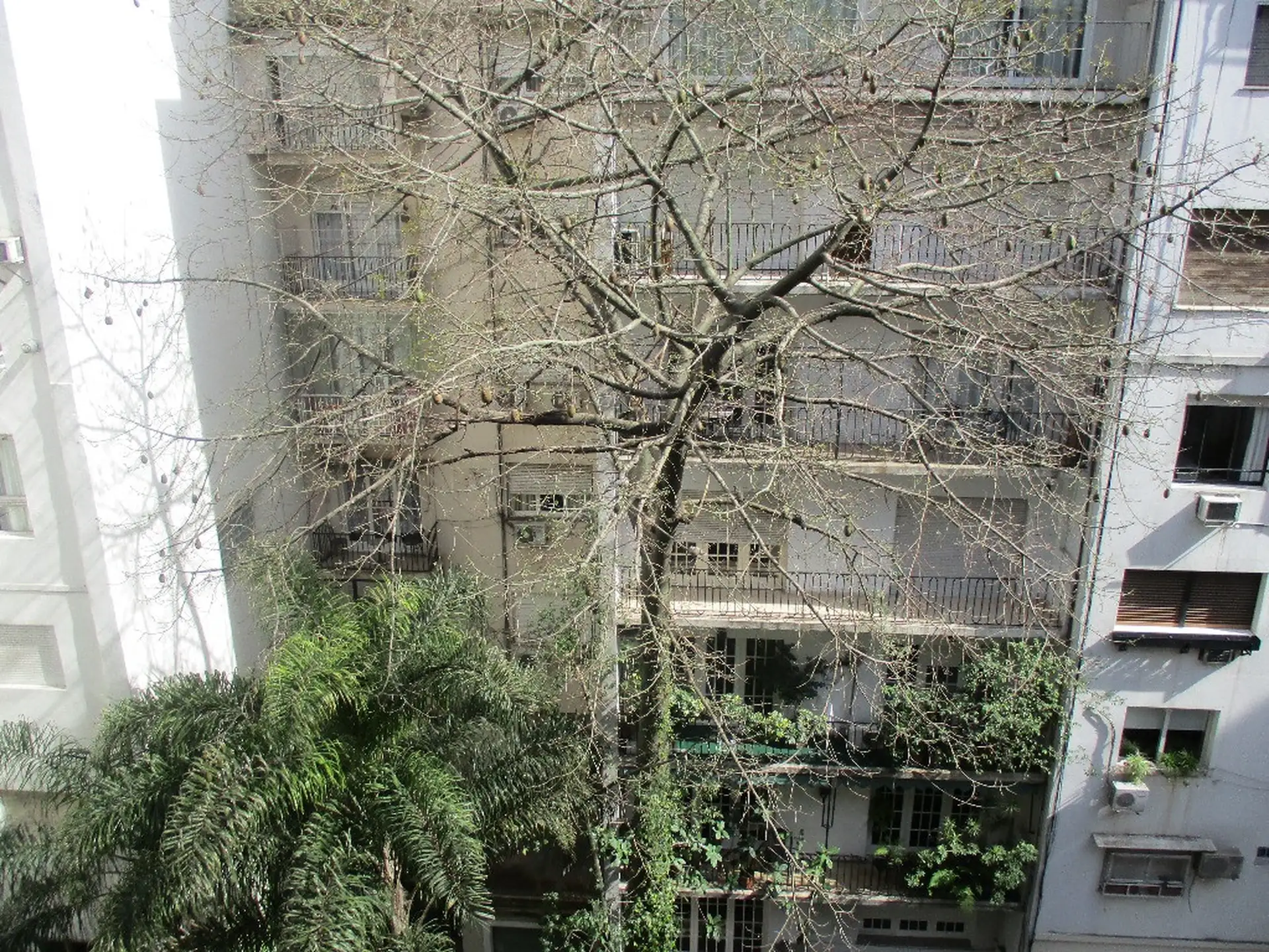Two-bedroom apartment with balcony in Recoleta