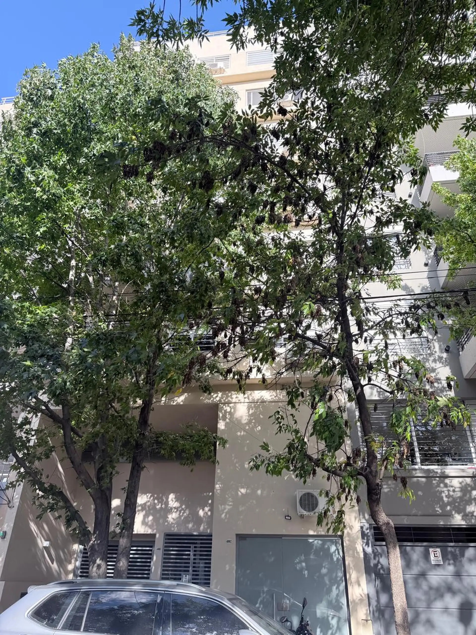 Departamento en Alquiler Temporal en Urquiza R, Villa Urquiza
