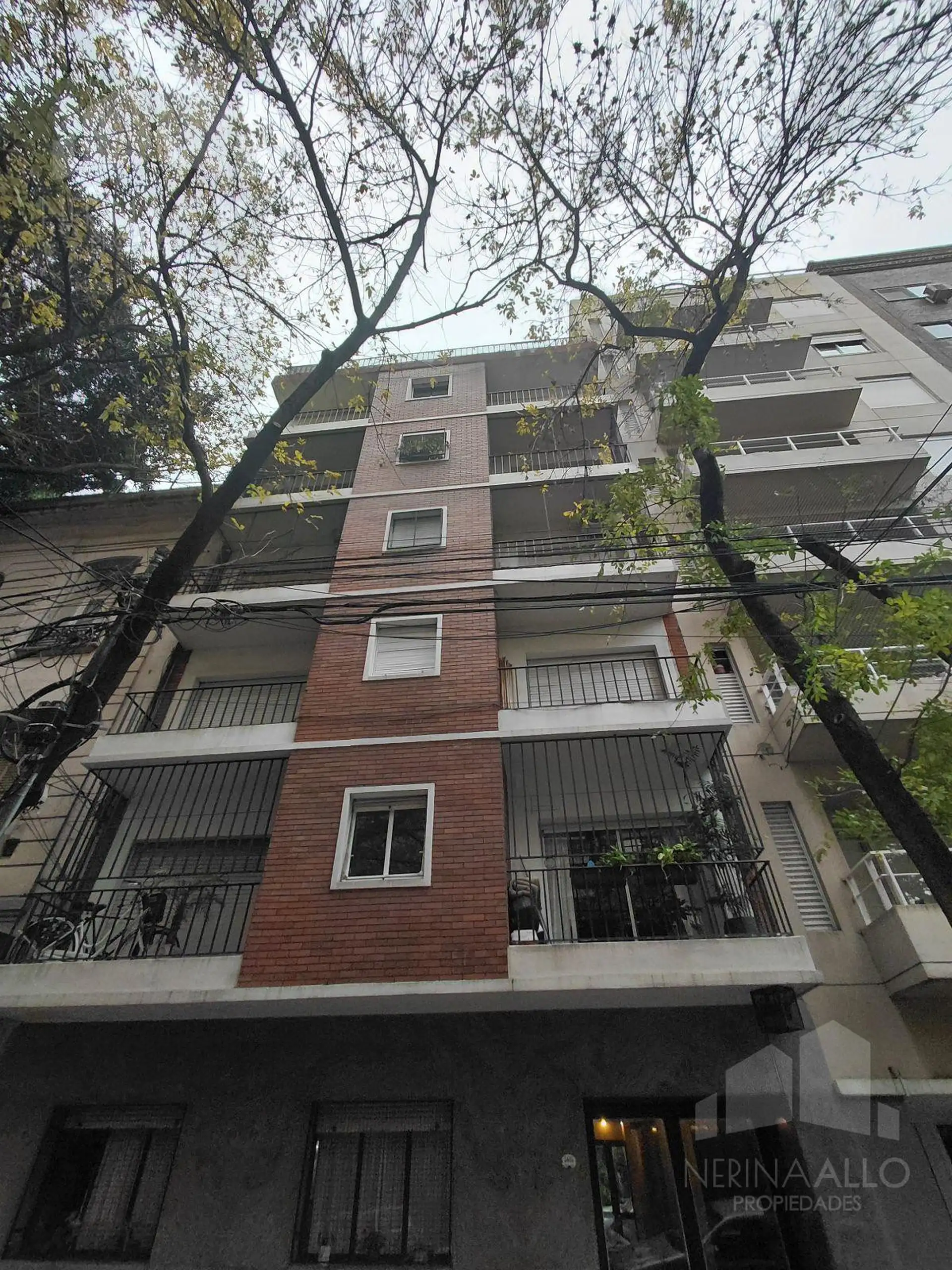 Departamento en Alquiler en Palermo, Capital Federal