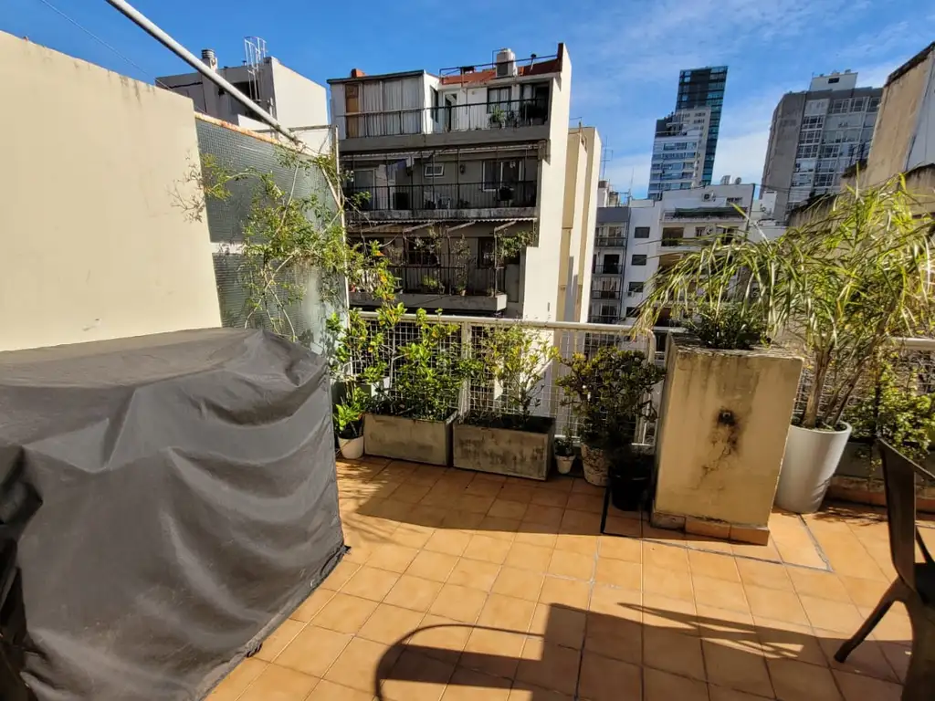 Departamento en Alquiler en Botanico, Palermo
