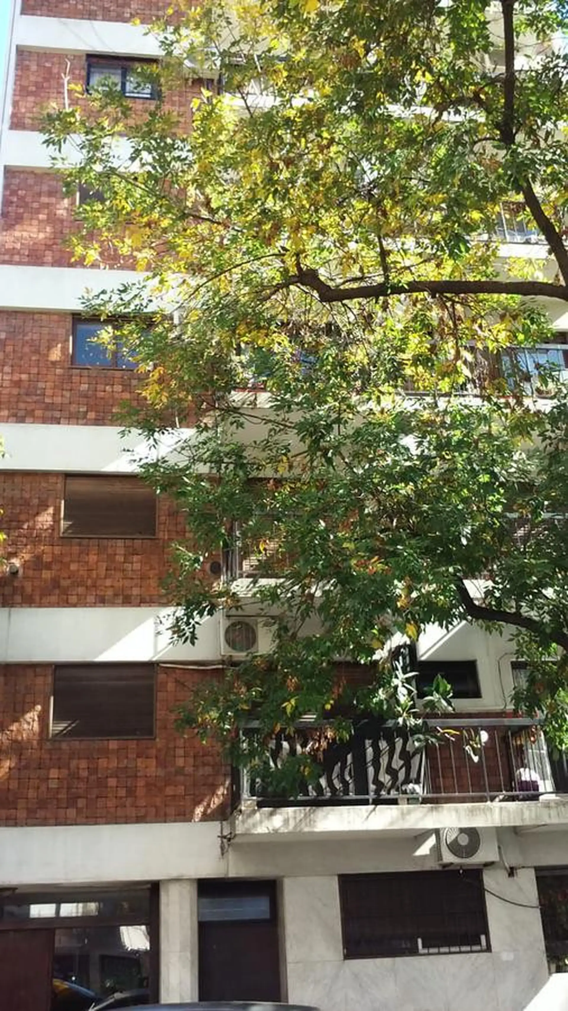 Departamento en Alquiler en Palermo, Capital Federal