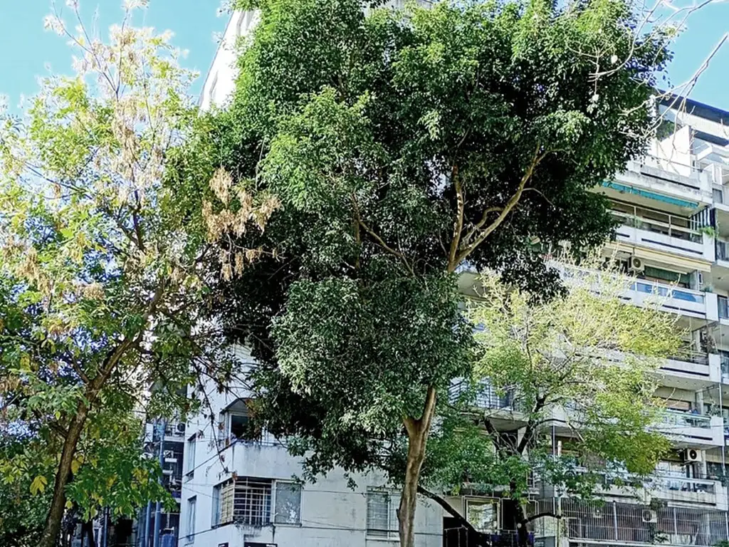 Monoambiente con balcón y amenities