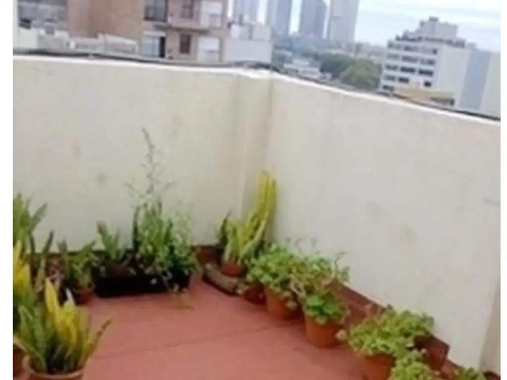 Lezama Park front, furnished