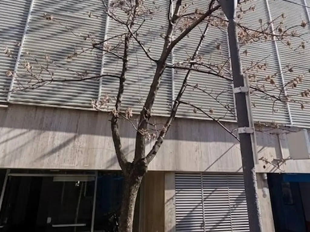 Departamento en Alquiler en Once, Capital Federal
