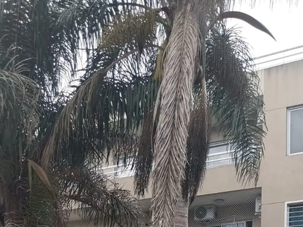 Departamento en Alquiler en Moreno, Partido de Moreno