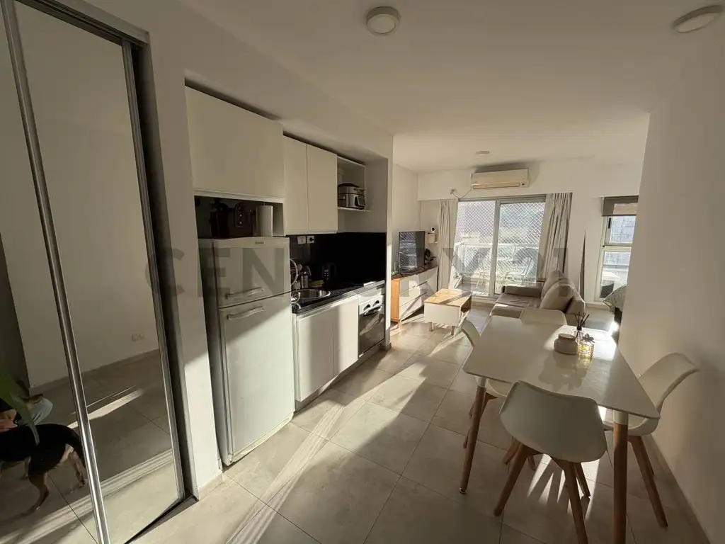 Imóvel: 1 quarto, Palermo