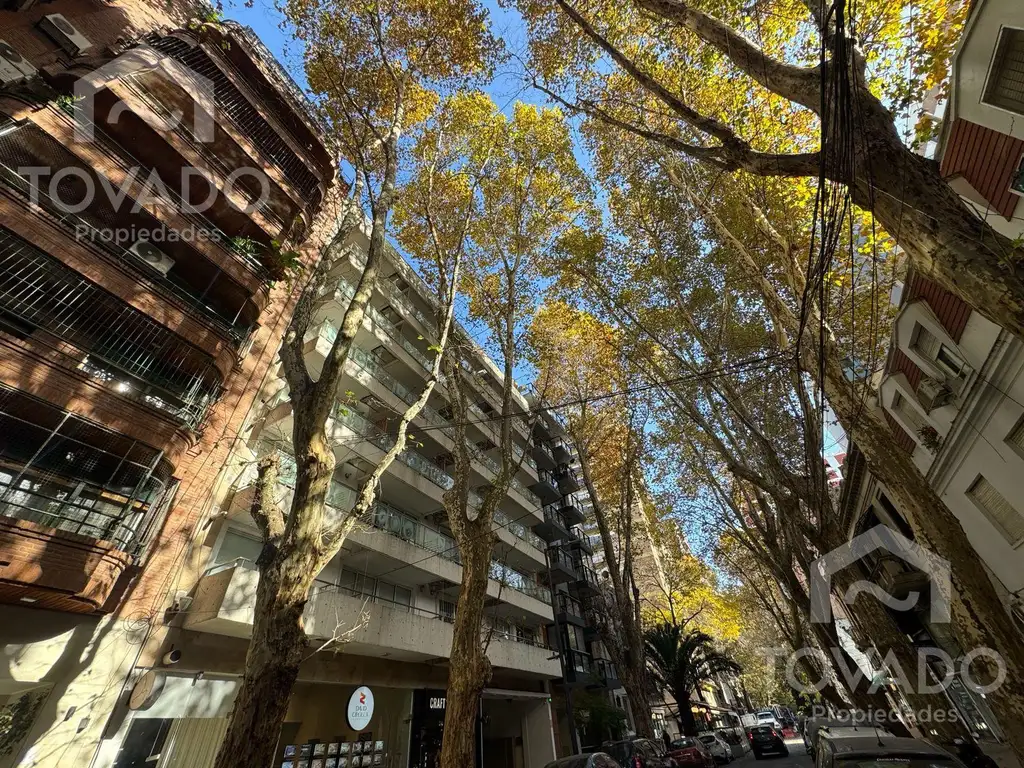 Departamento en Alquiler en Las Cañitas, Palermo
