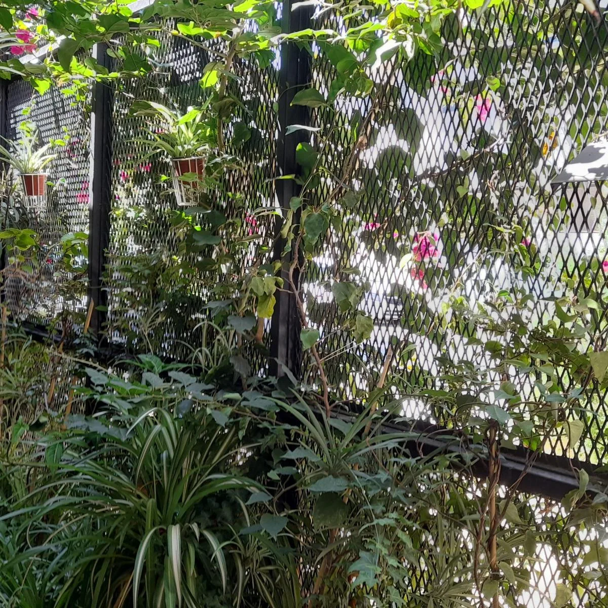 Двухуровневая PH-квартира с 1 спальней в Coghlan