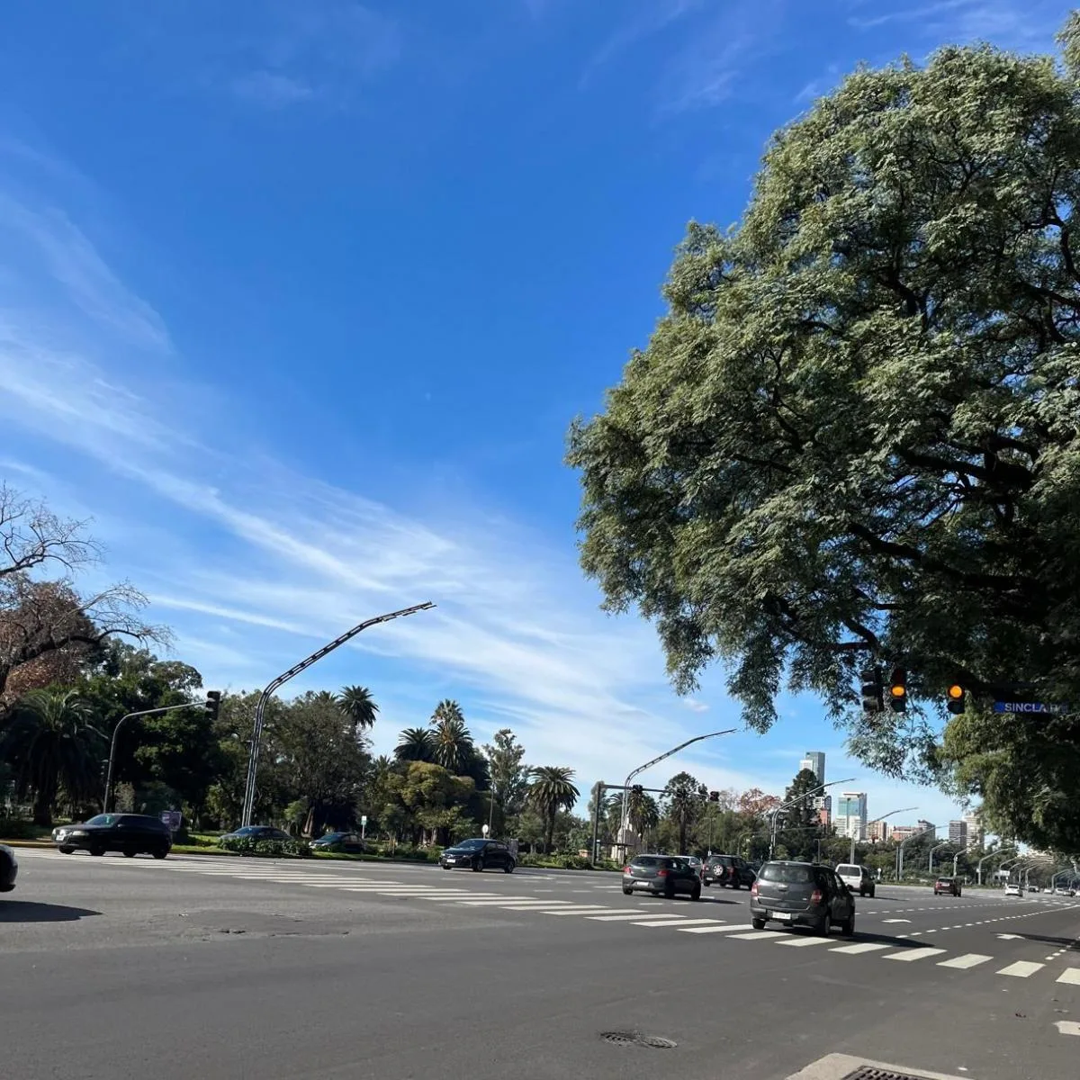 Alquiler Palermo Monoambiente Impecable Estado Apto Profesional