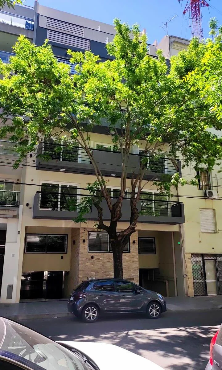 One-bedroom two-room apartment in Coghlan