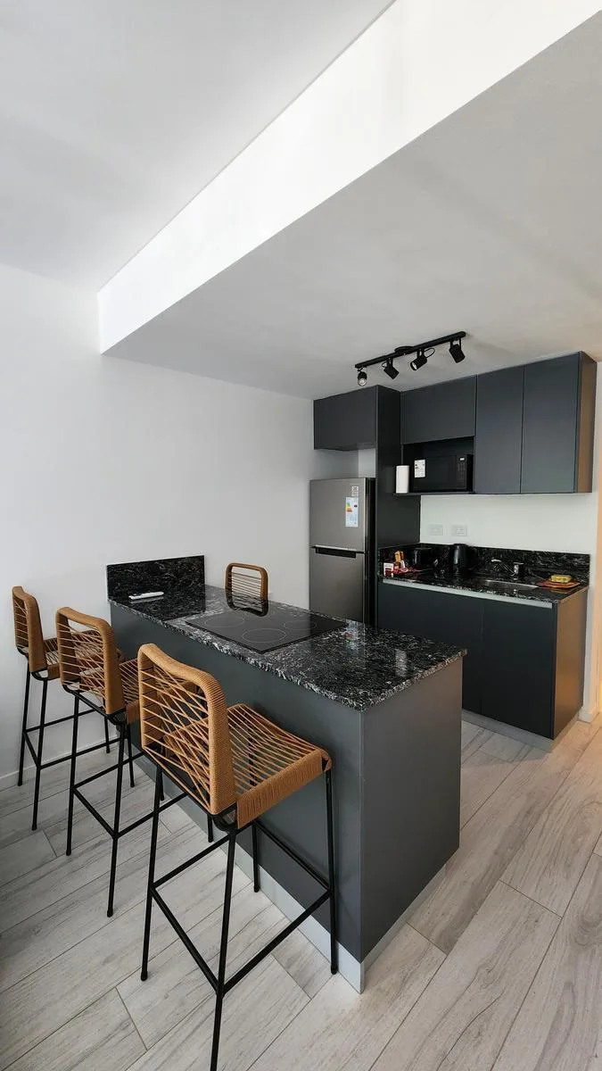 Квартира-студия в Recoleta, с мебелью