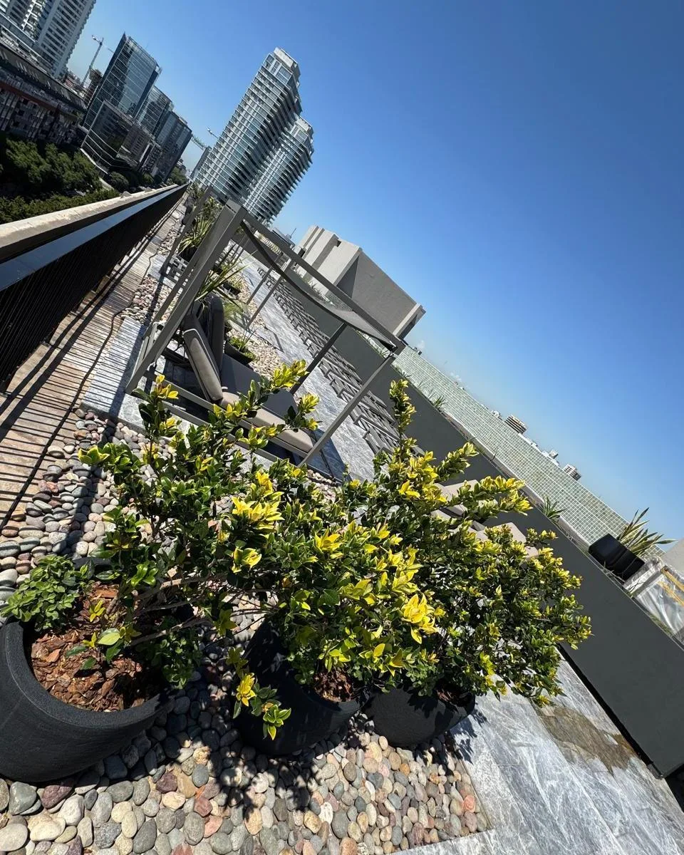 Exclusivo 3 Ambientes en "Lumiere Boulevard Madero" - (Full Amenities)