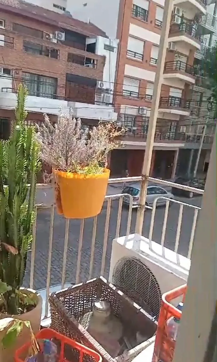 Dueña Alquila Dpto 2 Ambientes