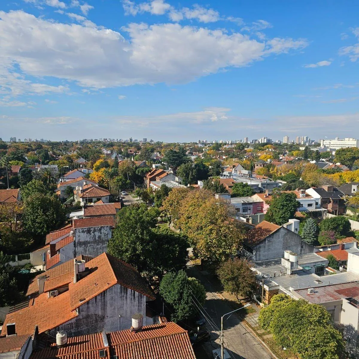 Two-bedroom apartment in Olivos