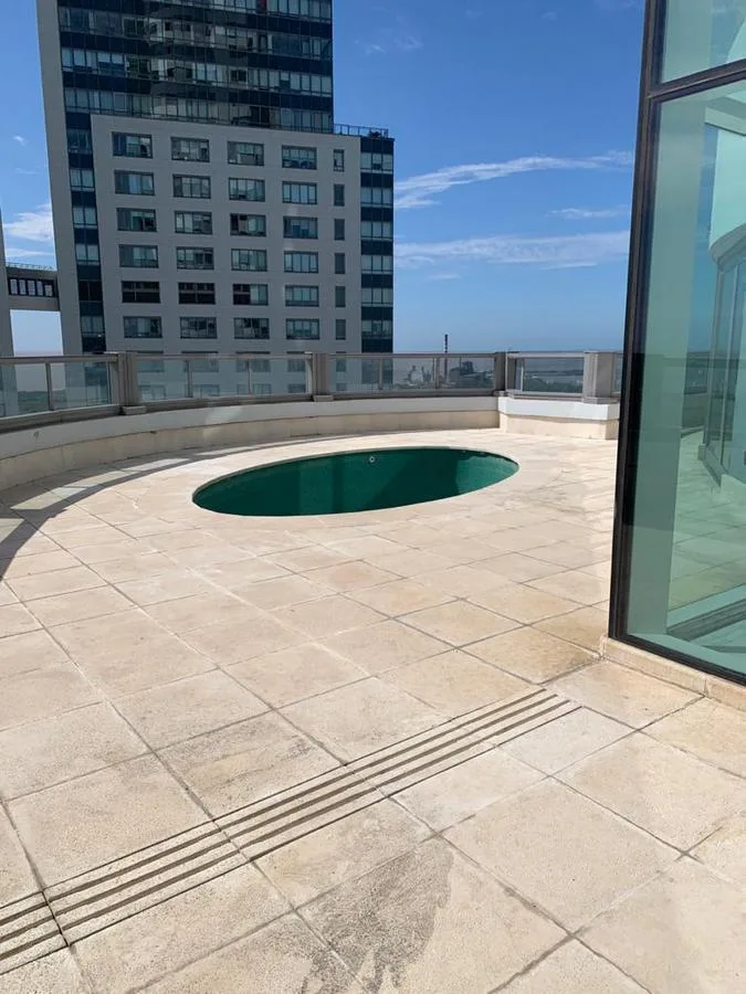 Four-bedroom apartment with private pool and terrace in Puerto Madero