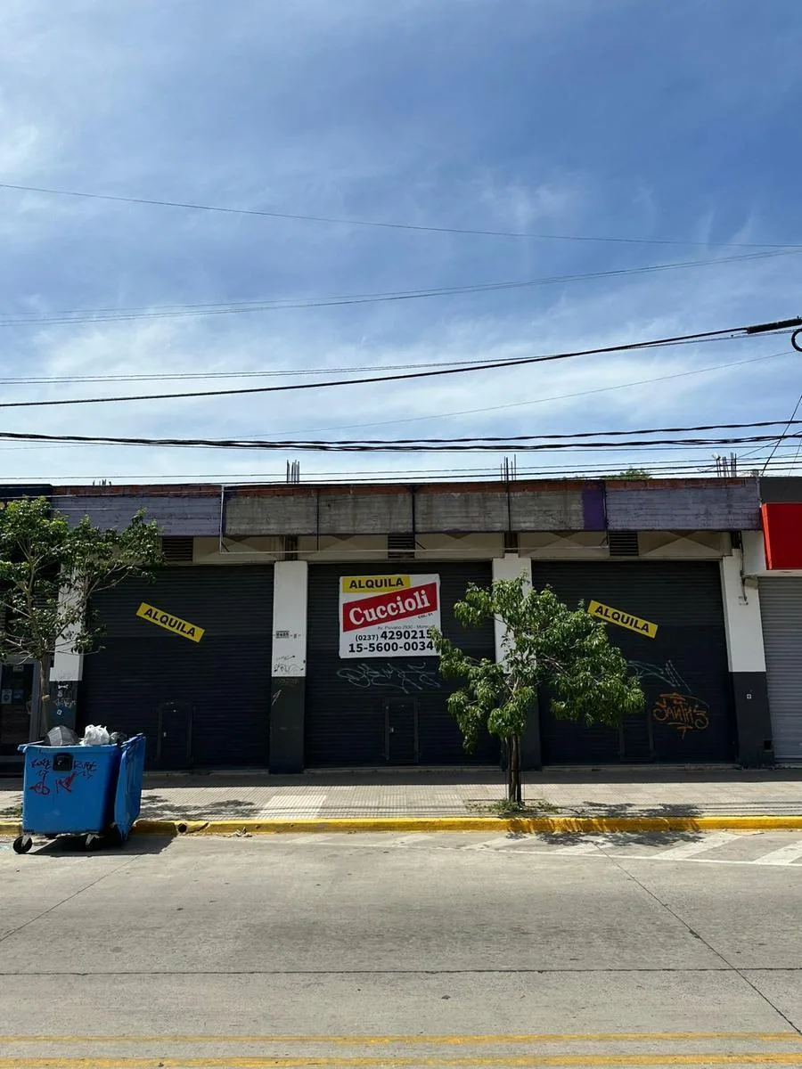 Local Bartolomé Mitre 240 m&sup2; (Moreno)
