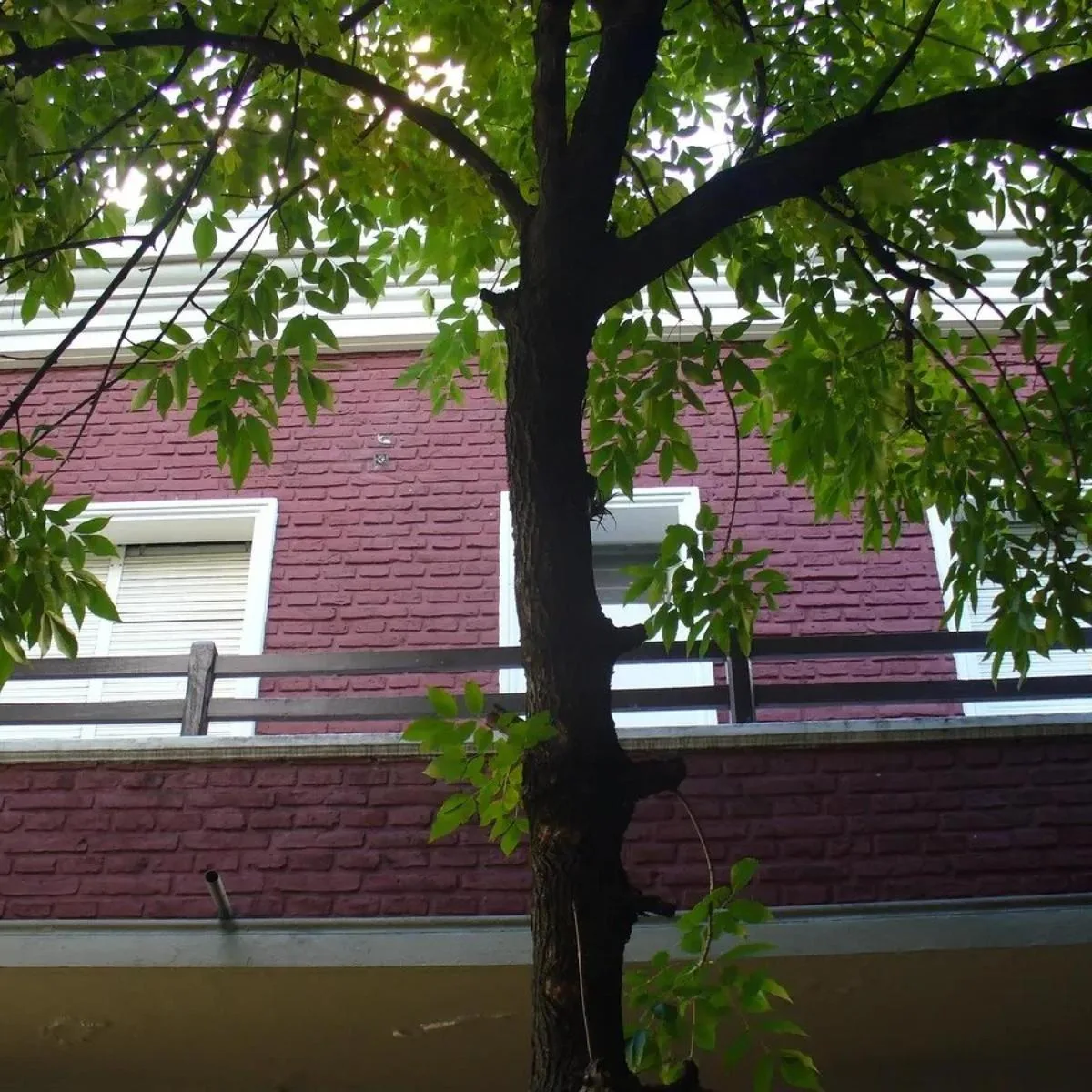 Apartamento de três dormitórios em La Plata