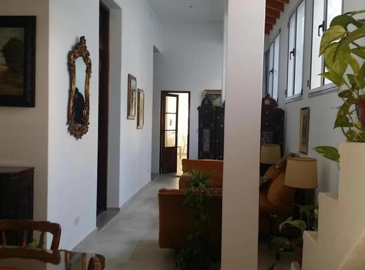 Commercial house with 9 bedrooms in Saavedra