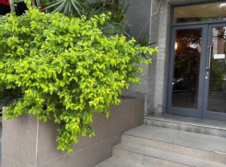 Apartamento de dois ambientes com varanda e vista para o Boulevard García del Río em Saavedra