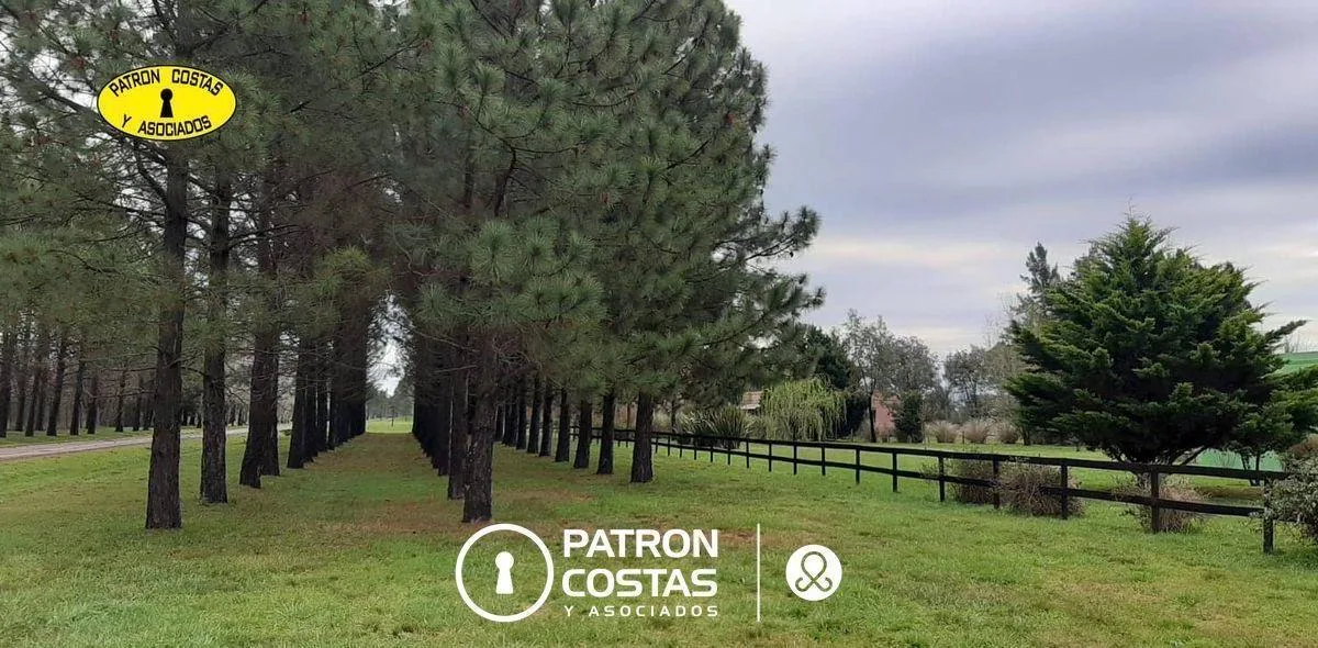 Seasonal four-bedroom house with pool in Luján