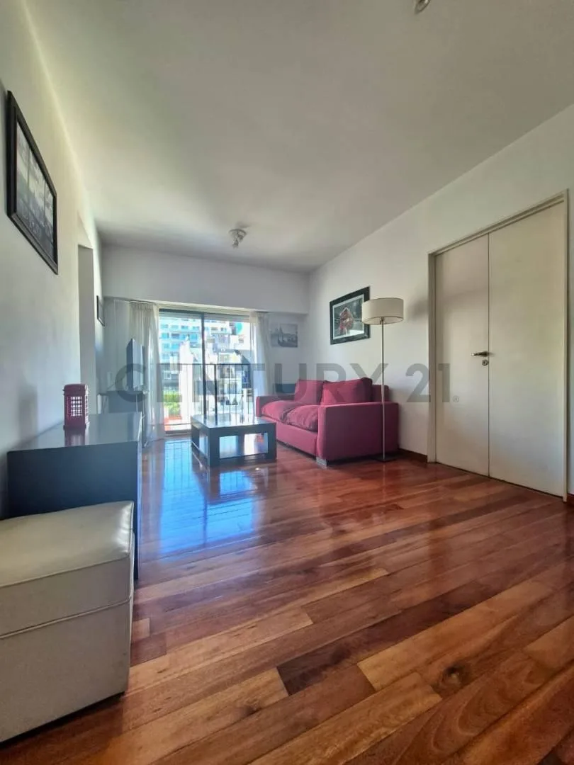 Меблированная квартира с 1 спальней в Saavedra