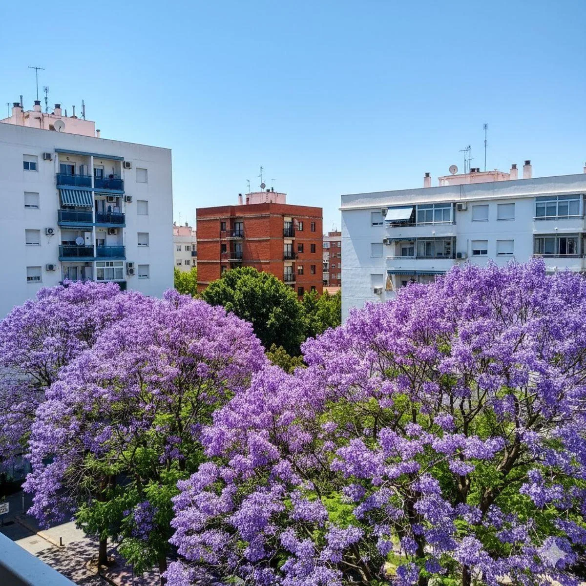 Kitnet divisível mobiliada em Palermo Chico