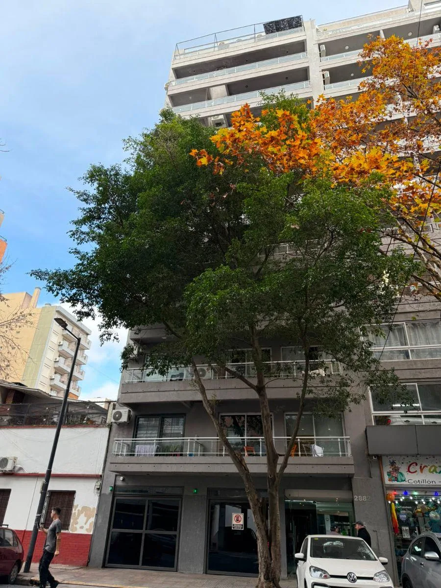 Departamento Al Frente C/balcón