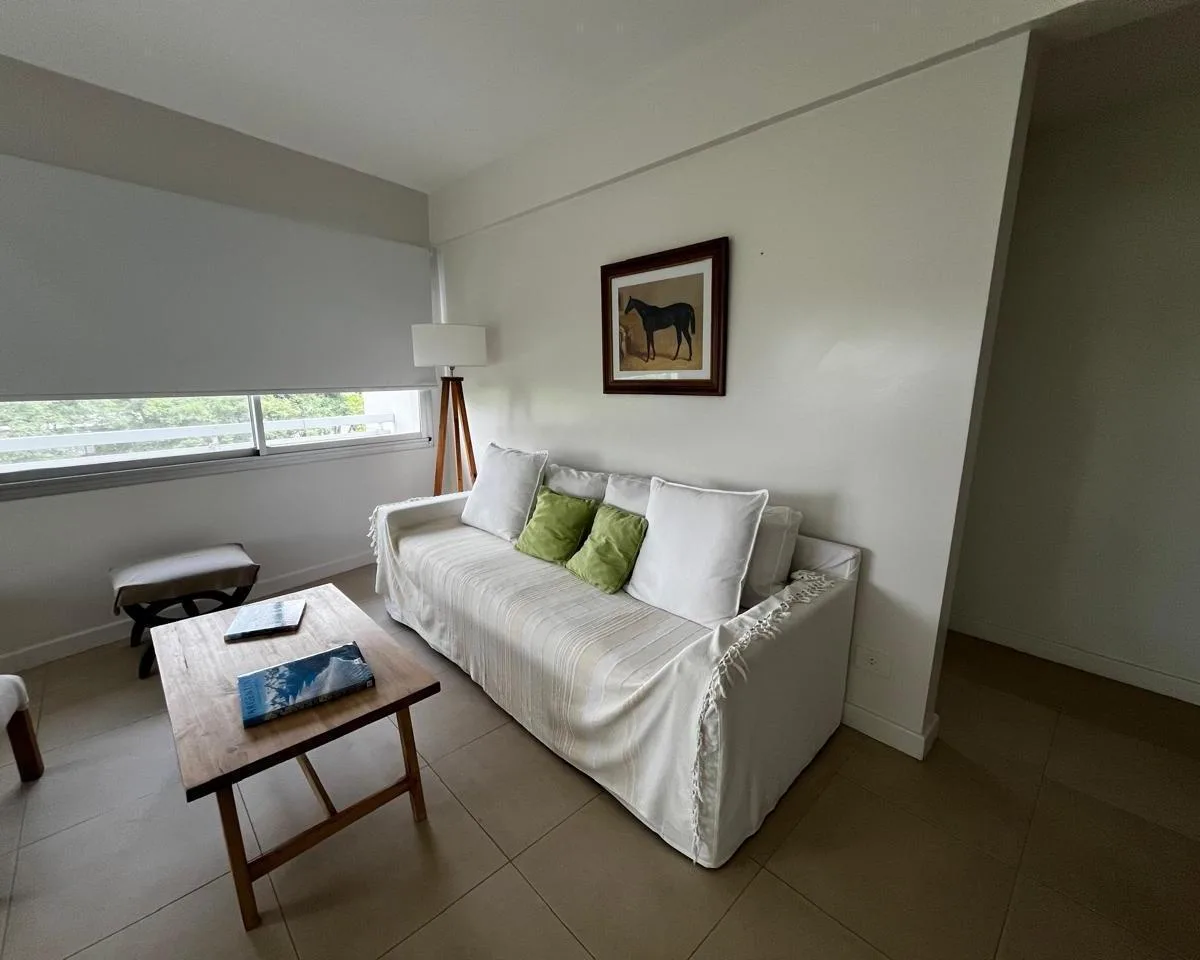 Furnished one-bedroom apartment in Tigre
