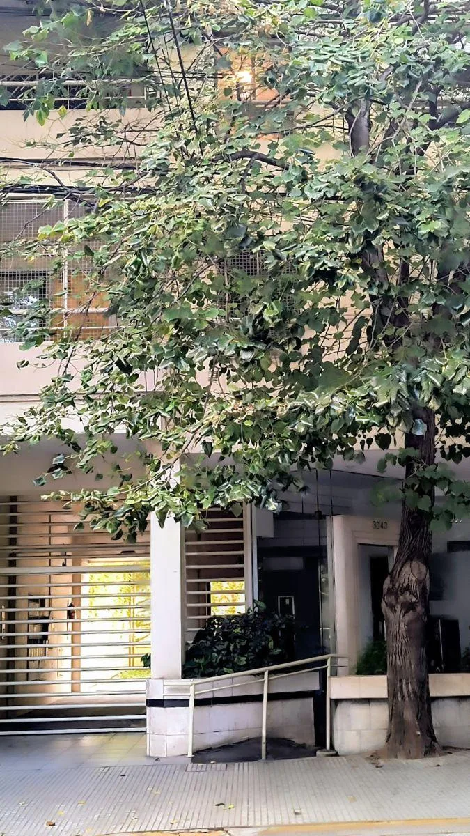 Полуэтажная квартира с 1 спальней в Núñez