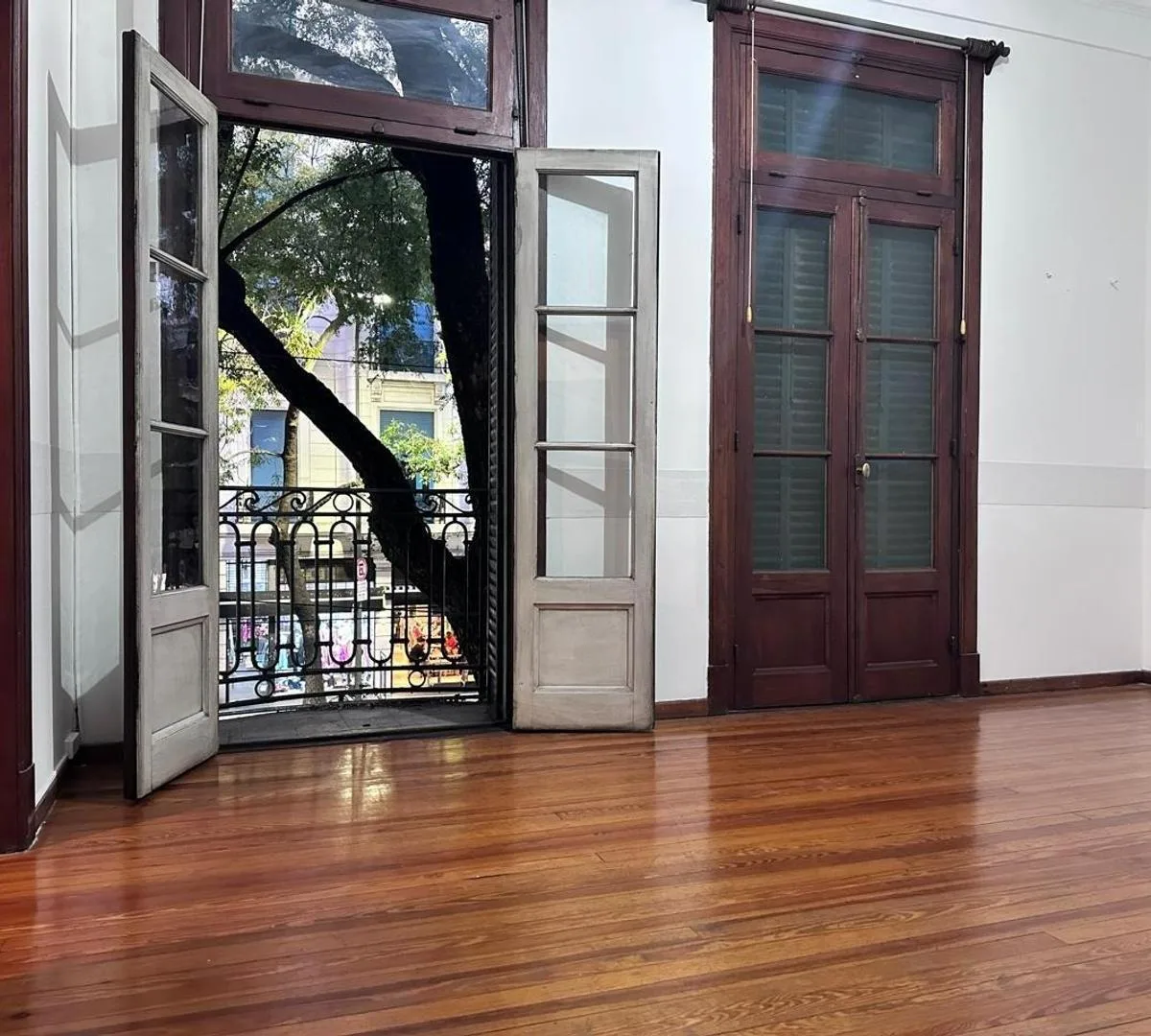 Two-bedroom apartment in Balvanera