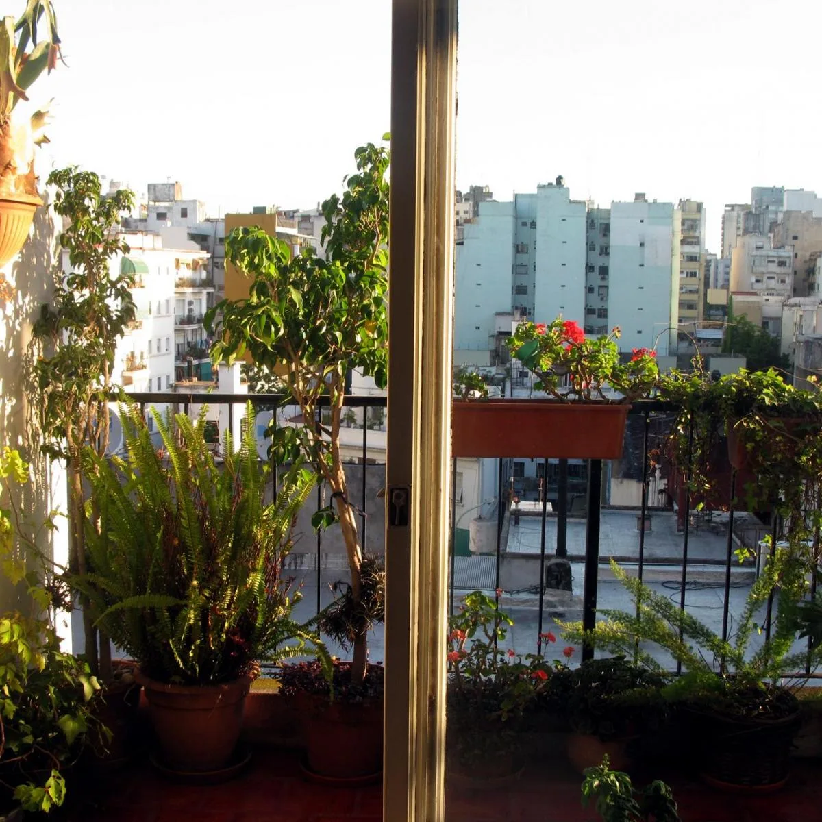 Two-bedroom apartment in Balvanera